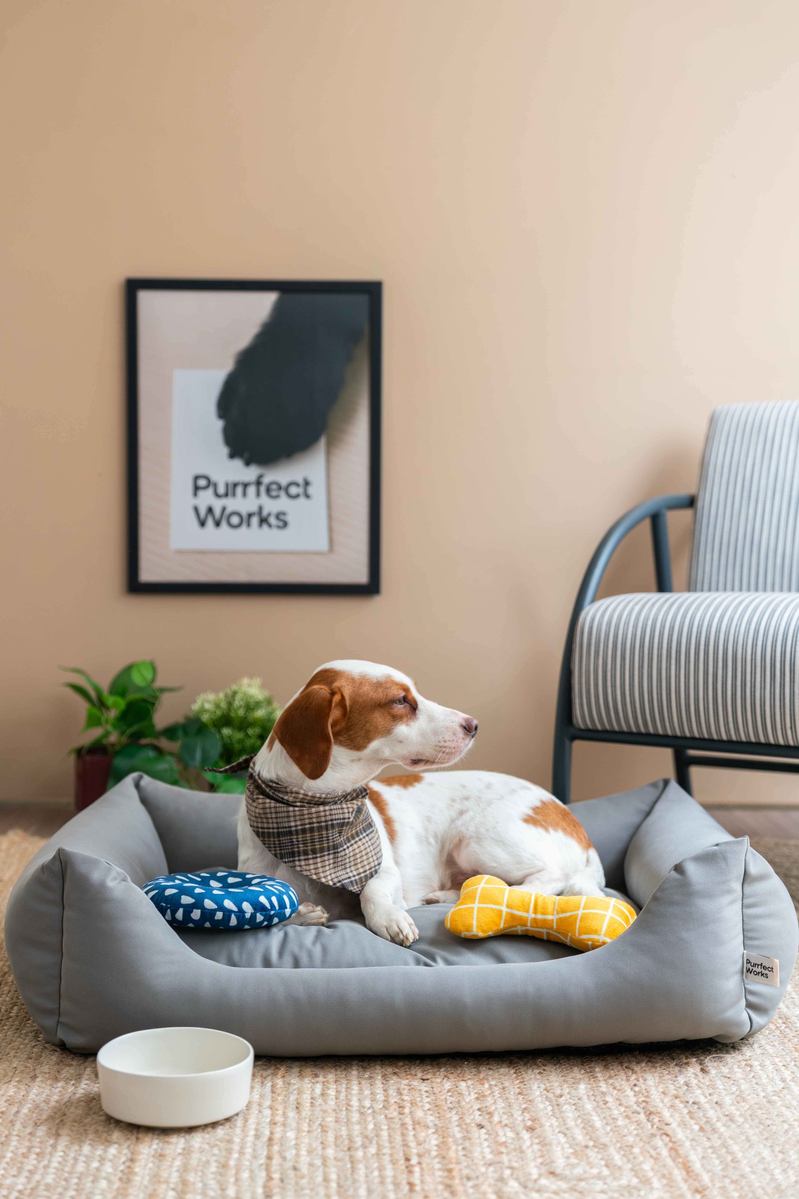 Purrfect works (6)